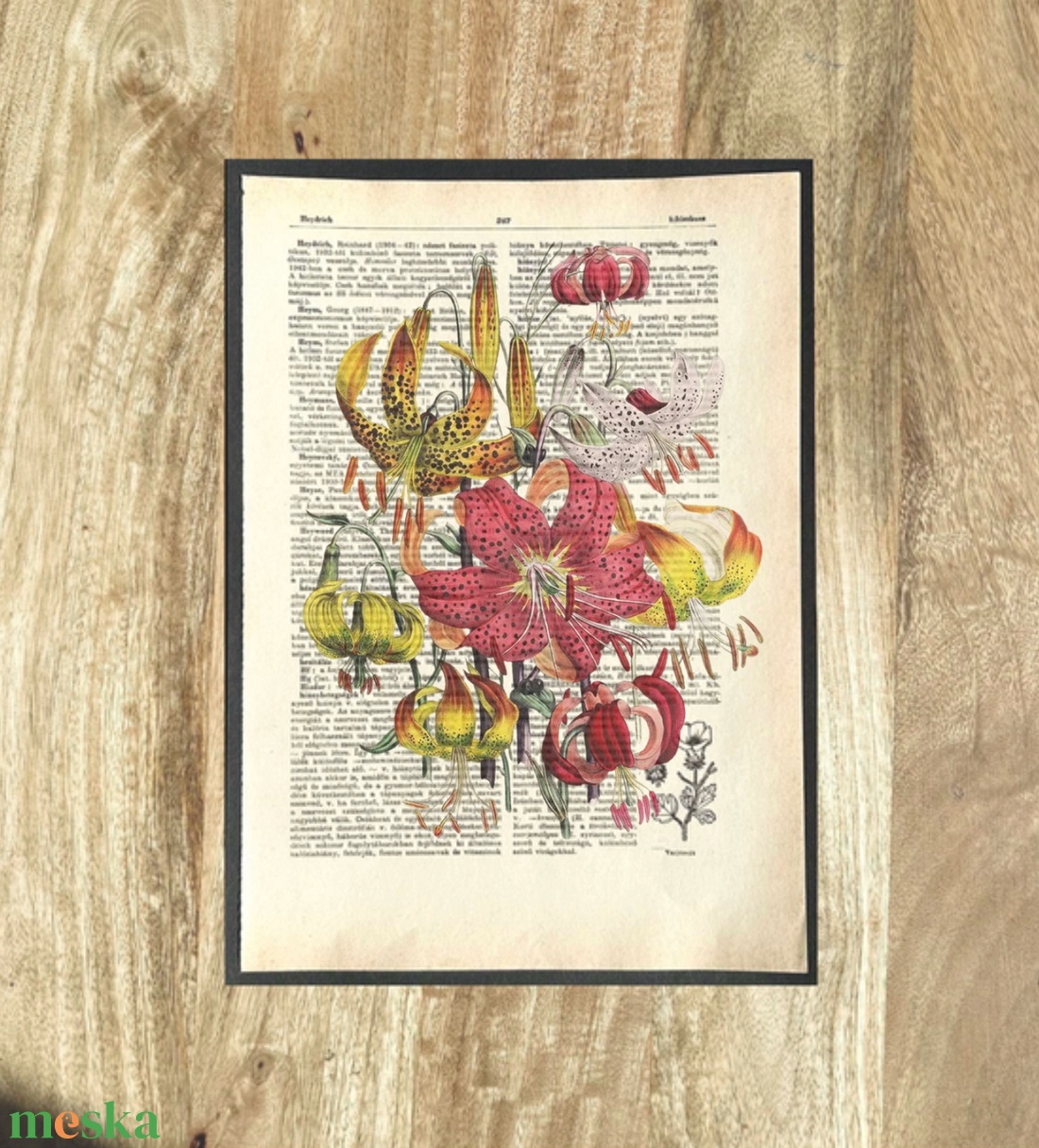 Liliom, kép, könyv, könyvlap, lexikon lapon - otthon & életmód - dekoráció - kép & falikép - poszter - Meska.hu Liliom, kép, könyv, könyvlap, lexikon lapon - otthon & életmód - dekoráció - kép & falikép - poszter - Meska.hu