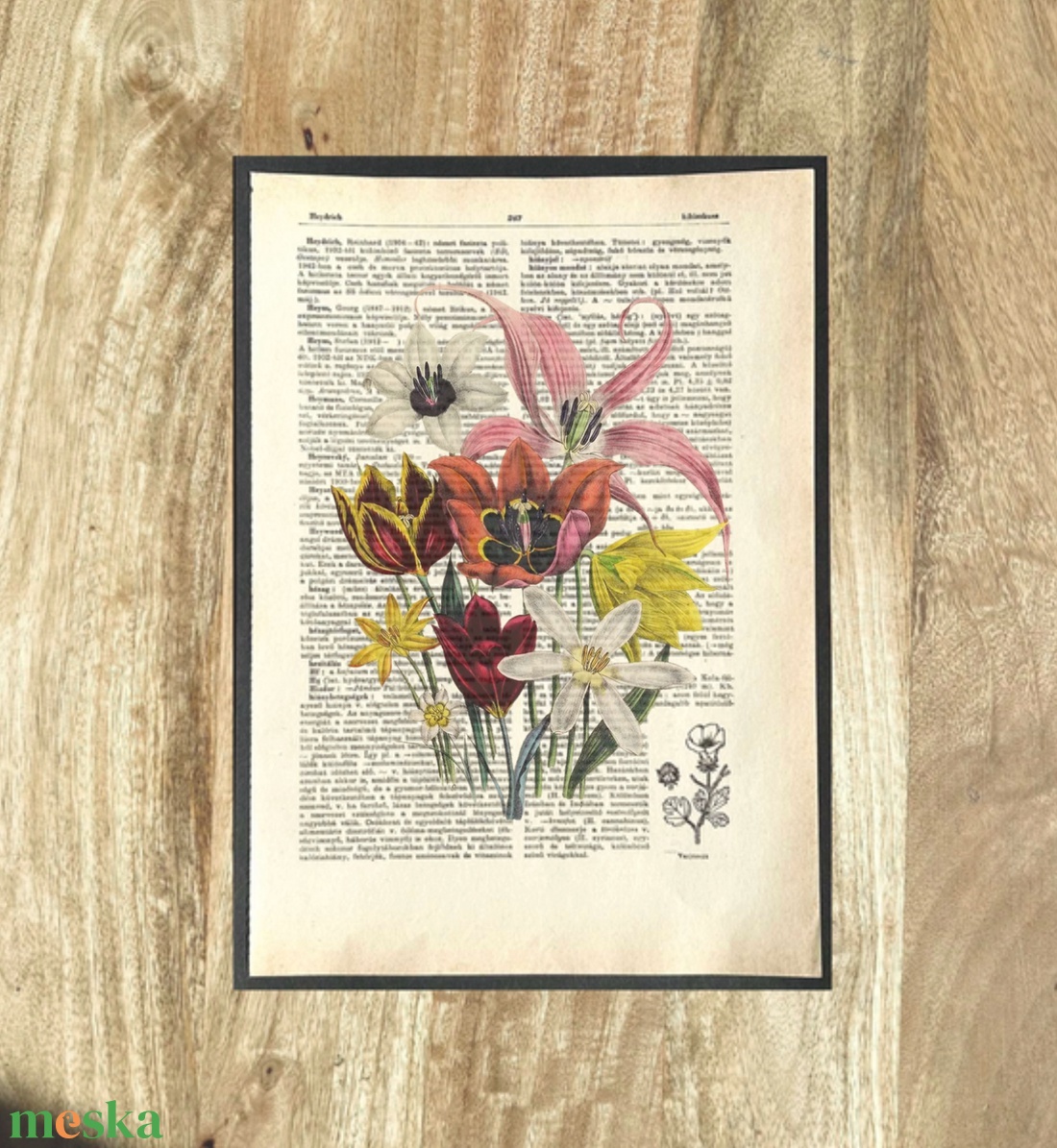 Tulipán tulipános tulipánok, kép, könyv, könyvlap, lexikon lapon - otthon & életmód - dekoráció - kép & falikép - poszter - Meska.hu Tulipán tulipános tulipánok, kép, könyv, könyvlap, lexikon lapon - otthon & életmód - dekoráció - kép & falikép - poszter - Meska.hu