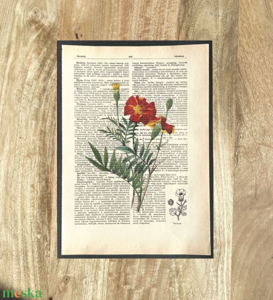 Büdöske, kép, könyv, könyvlap, lexikon lapon - otthon & életmód - dekoráció - kép & falikép - poszter - Meska.hu