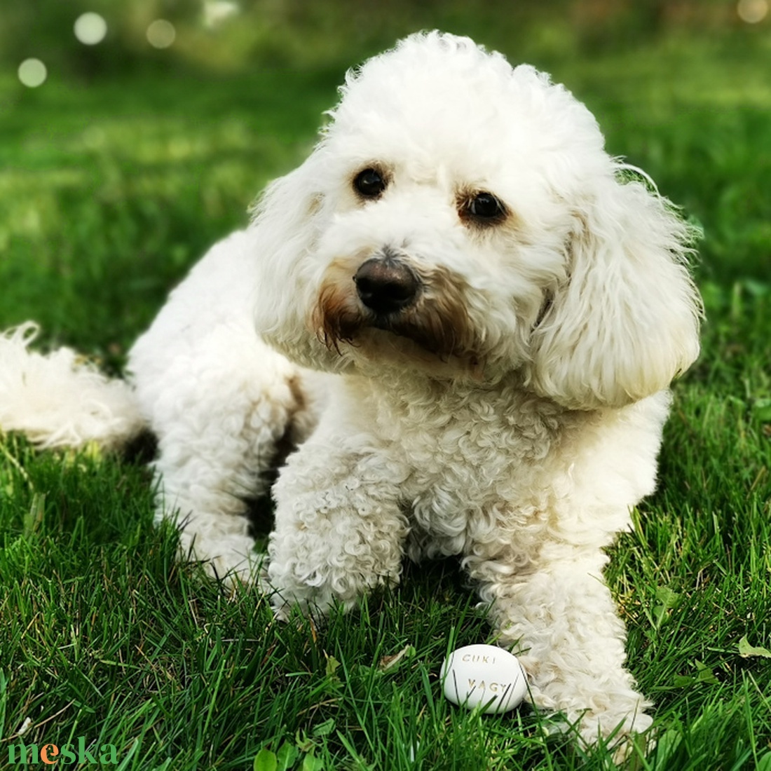 CUKI VAGY - Kerámia Varázskavics üzenettel, motivációs felirattal - esküvő - emlék & ajándék - köszönőajándék - Meska.hu