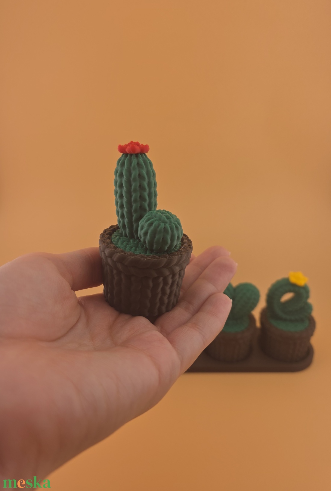 Valentin napi kaktusz - titkos tárolóval - otthon & életmód - dekoráció - dísztárgy - Meska.hu