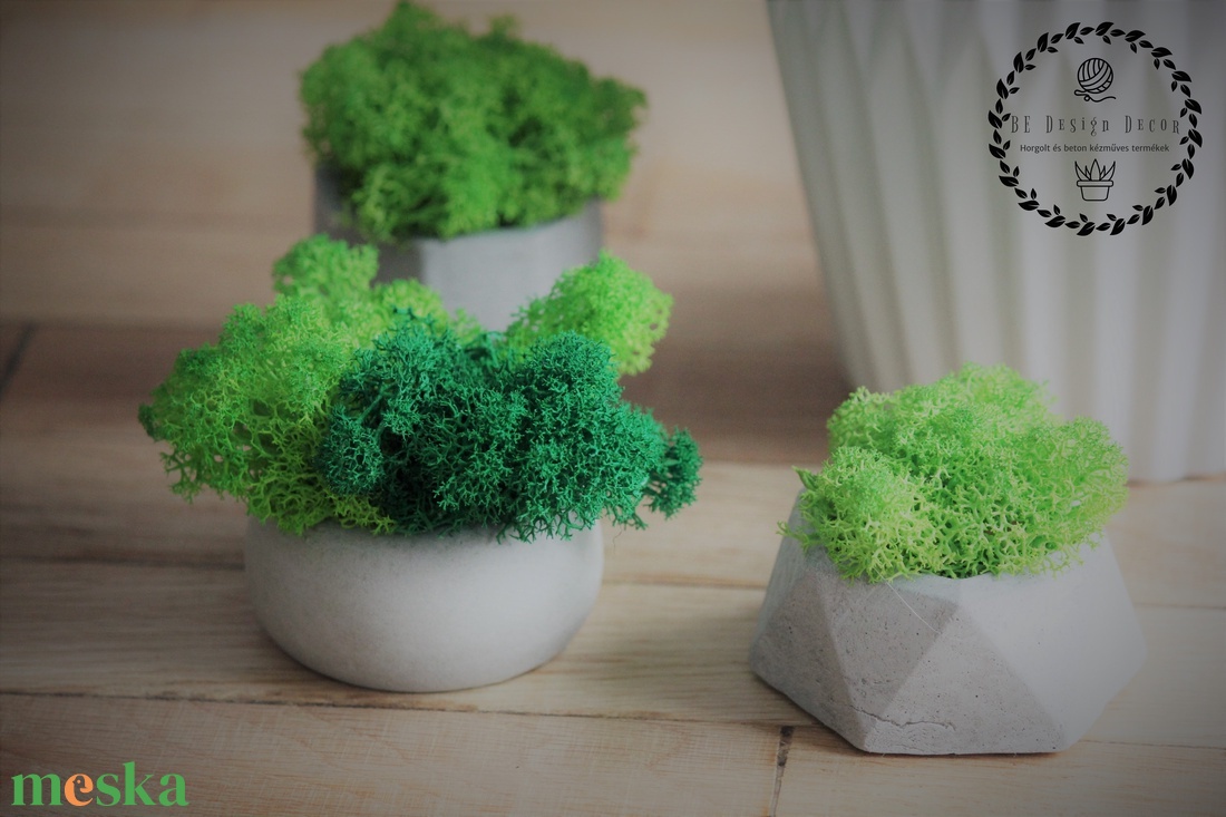 Beton mini kaspó zuzmóval - otthon & életmód - dekoráció - virágdísz és tartó - cserép & kaspó - Meska.hu