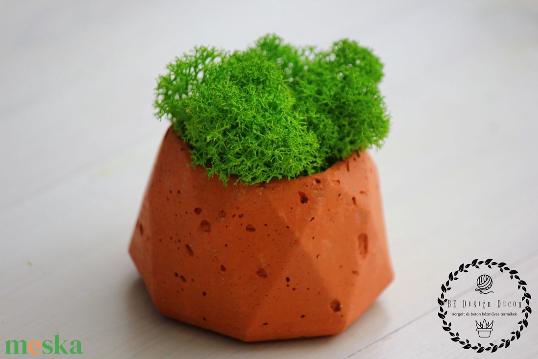 Nyolcszögű beton kaspó zuzmóval - otthon & életmód - dekoráció - virágdísz és tartó - cserép & kaspó - Meska.hu