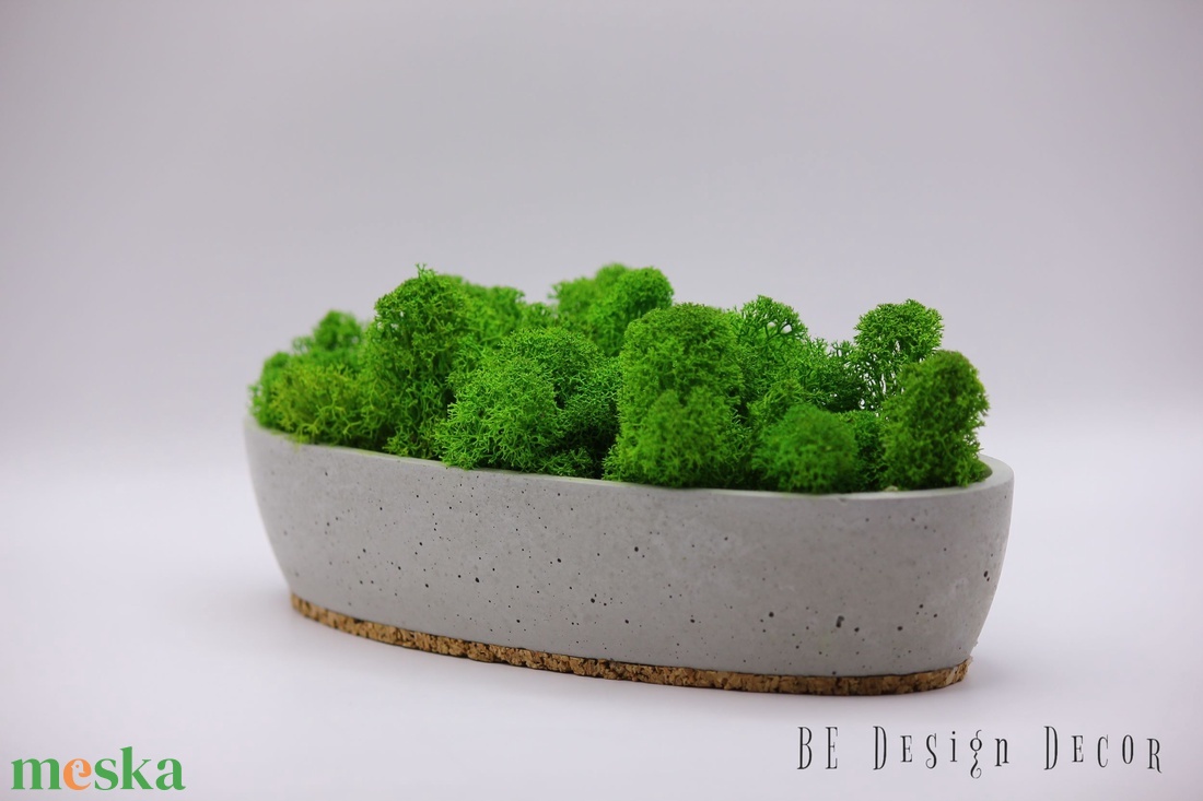 Világos zöld zuzmó beton tálban  - otthon & életmód - virágdekoráció - virágdíszek - asztali virágdísz - Meska.hu