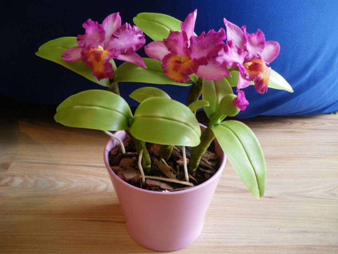 rózsaszín cattleya - agyag orchidea  -  - Meska.hu