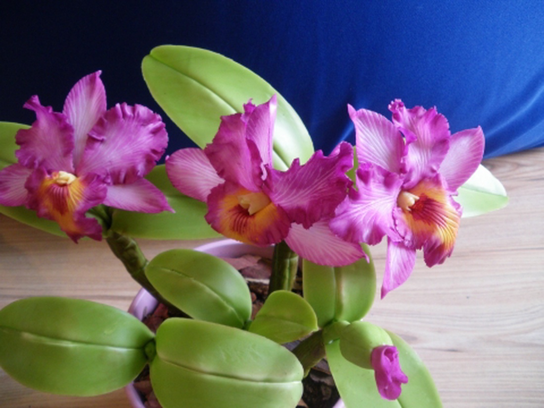 rózsaszín cattleya - agyag orchidea  -  - Meska.hu