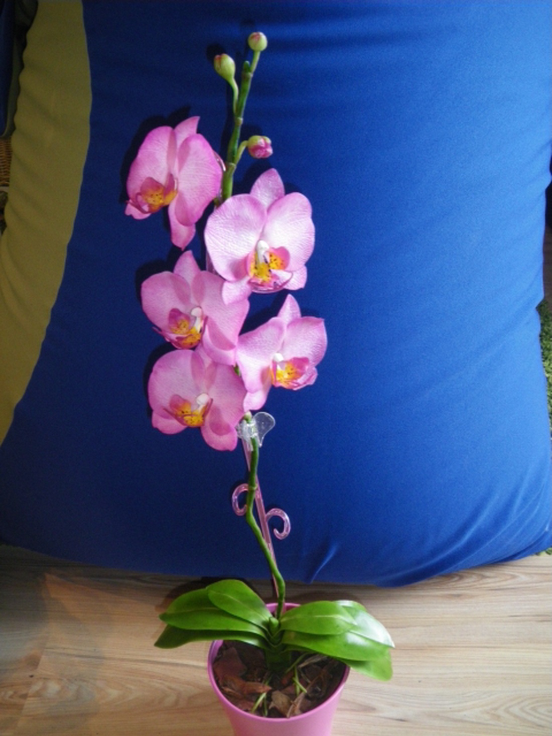 rózsaszín agyag orchidea - phalaenopsis -  - Meska.hu