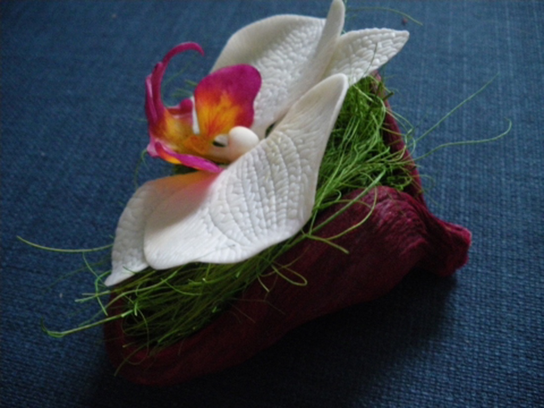 phalaenosis (lepke) orchidea virág termésben - fehér -  - Meska.hu