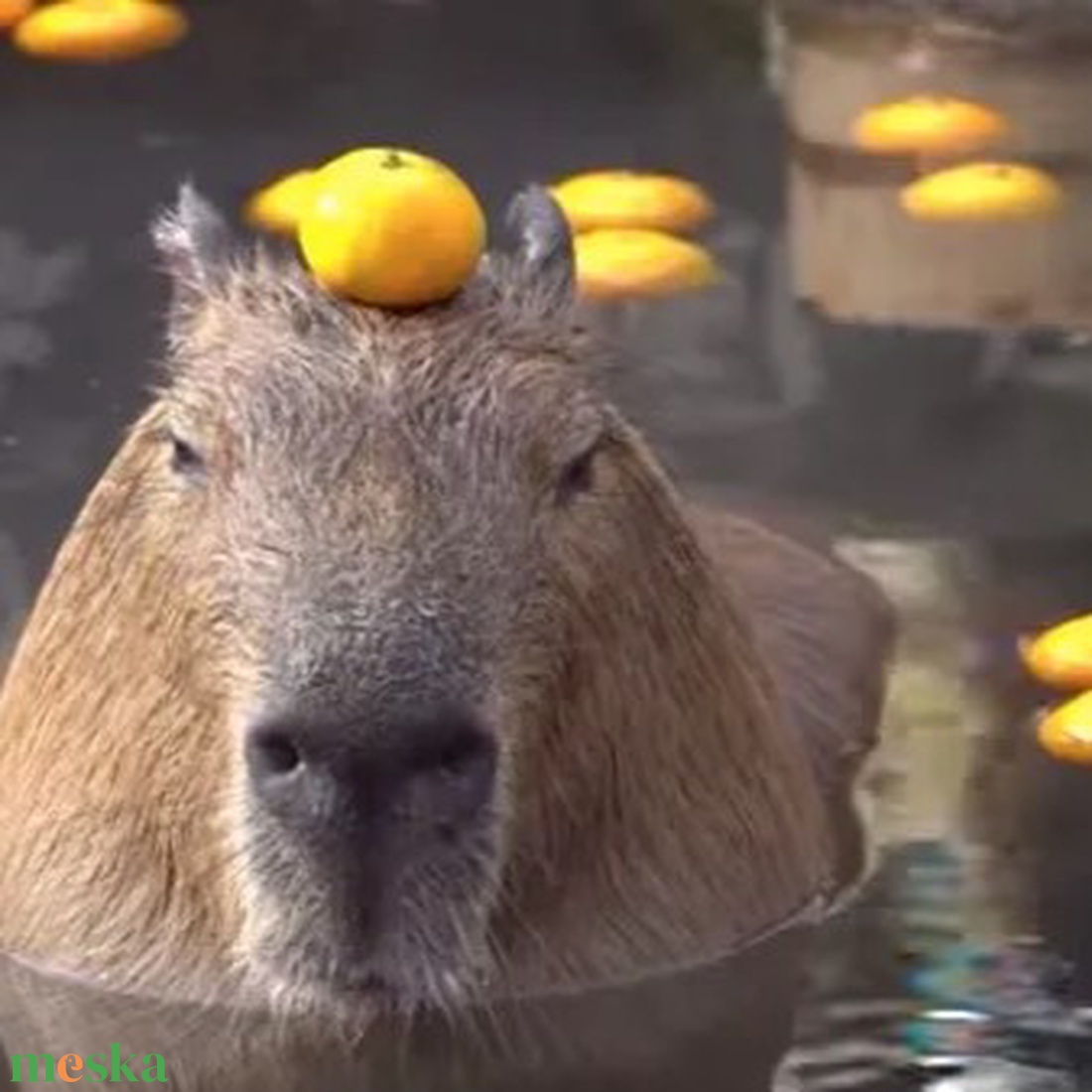 KAPIBARA  - kukucskáló bögre  - otthon & életmód - konyhafelszerelés, tálalás - tálalás - bögre & csésze - Meska.hu