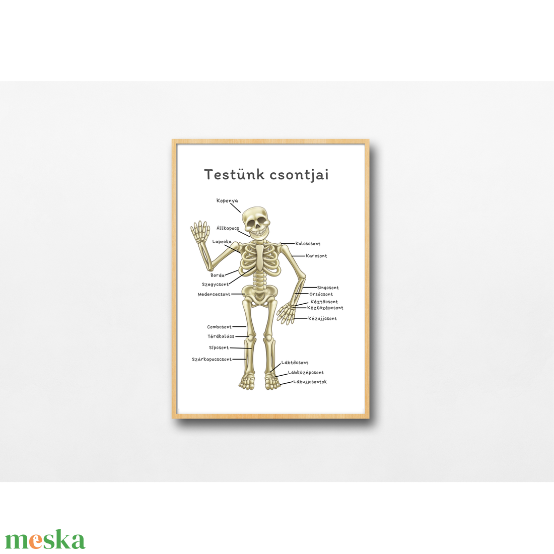 Testünk csontjai poszter - művészet - grafika & illusztráció - digitális - Meska.hu Testünk csontjai poszter - művészet - grafika & illusztráció - digitális - Meska.hu