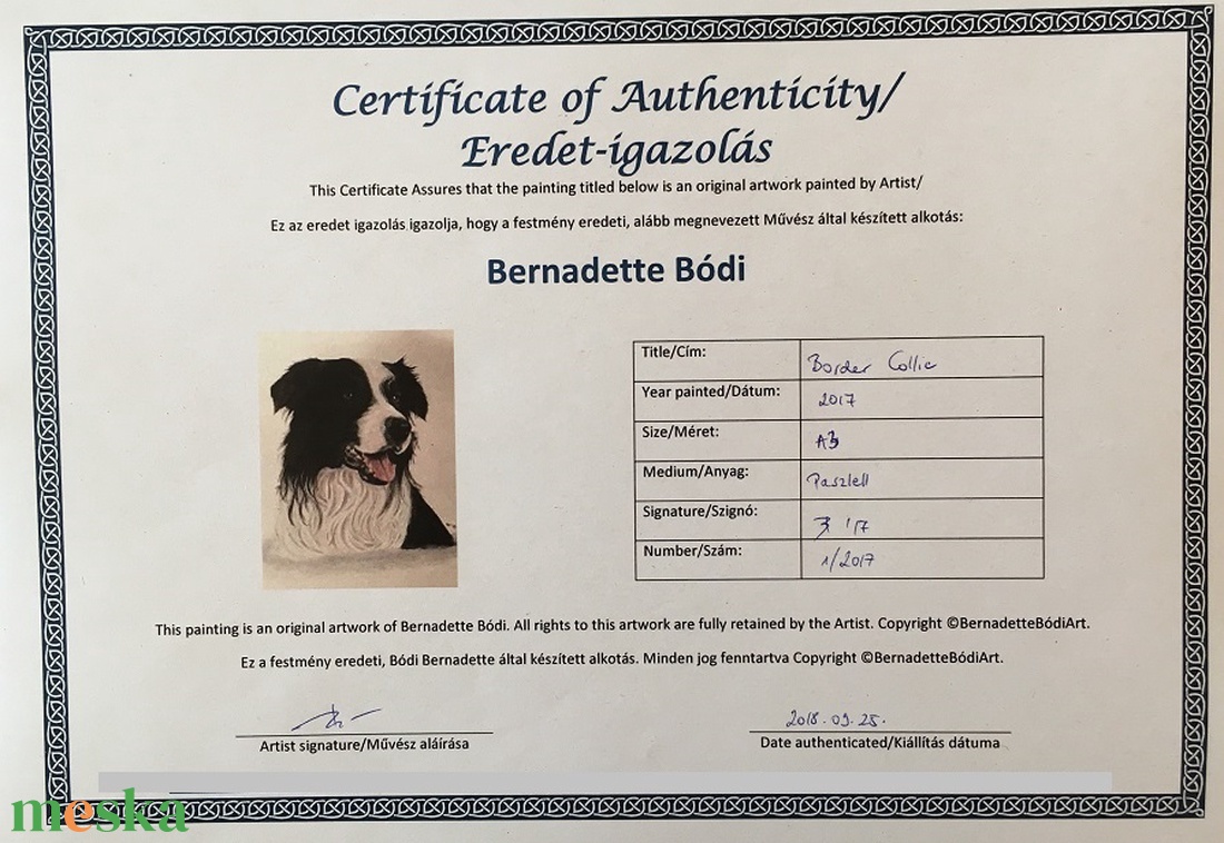 Border Collie, Zsűrizett/Jury painting - művészet - festmény - pasztell - Meska.hu