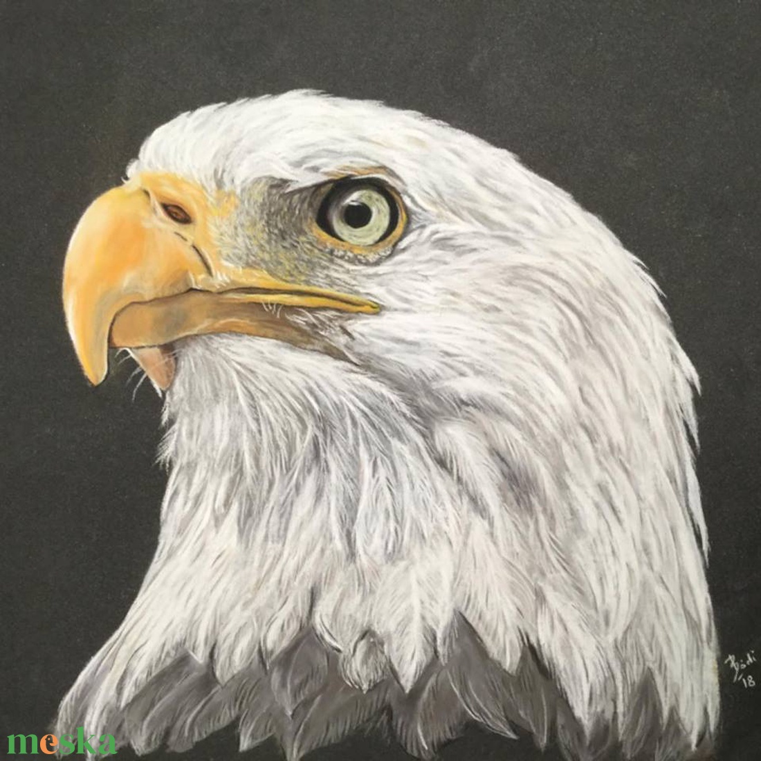 Sas/Eagle, Zsűrizett festmény/Jury painting - művészet - festmény - pasztell - Meska.hu Sas/Eagle, Zsűrizett festmény/Jury painting - művészet - festmény - pasztell - Meska.hu