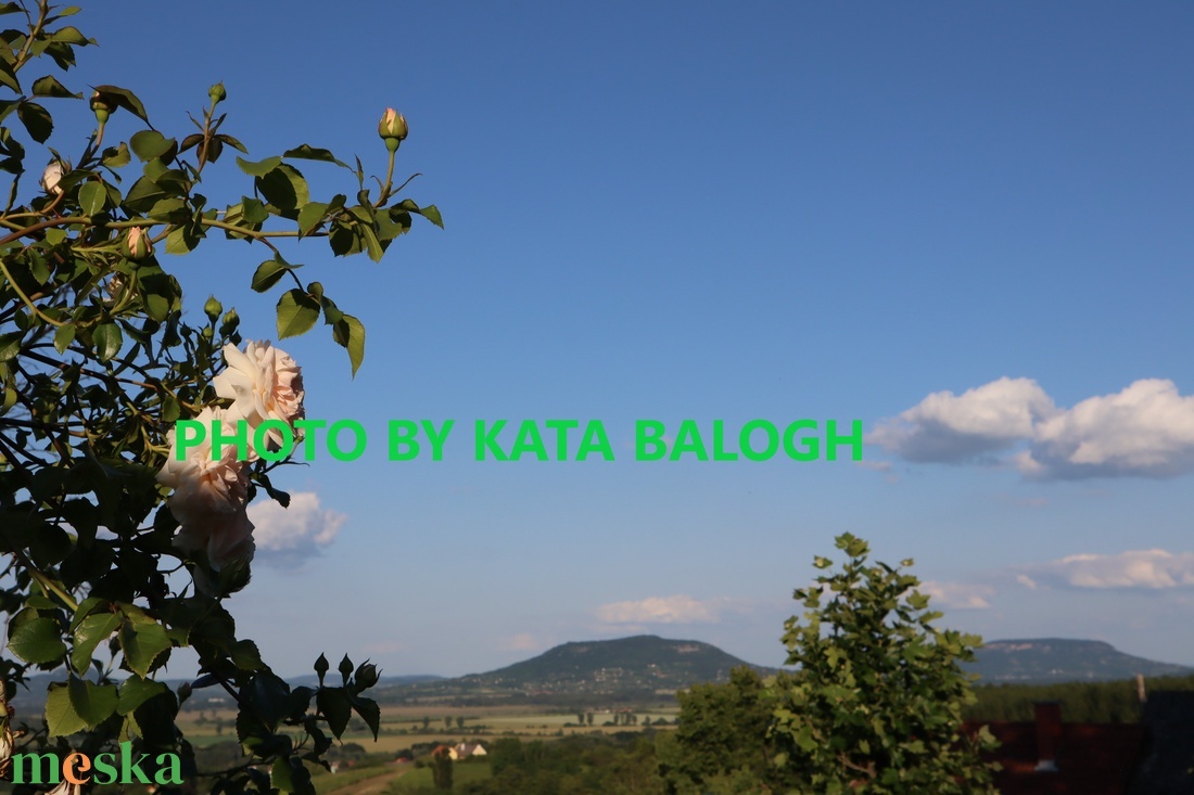 Rózsakék balatoni égbolt - vászonkép égszínkék balatoni égben illatozó rózsákkal - művészet - fotográfia - tájkép - Meska.hu Rózsakék balatoni égbolt - vászonkép égszínkék balatoni égben illatozó rózsákkal - művészet - fotográfia - tájkép - Meska.hu