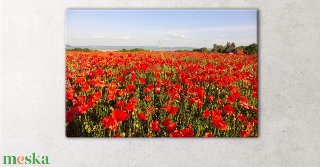 Pipacsmező a Balatonnál - nagyon piros pipacsok fotó/poszter/vászonkép falidísze - művészet - fotográfia - tájkép - Meska.hu Pipacsmező a Balatonnál - nagyon piros pipacsok fotó/poszter/vászonkép falidísze - művészet - fotográfia - tájkép - Meska.hu