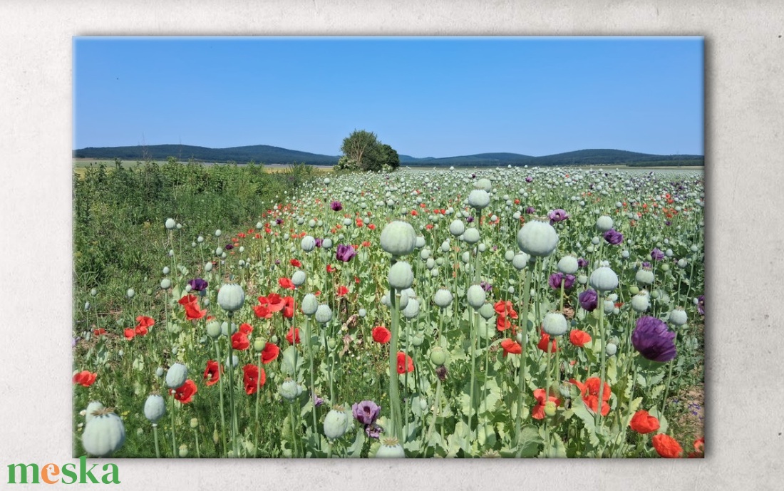 Életfa mákmezőn: bőség, szerencse, természet, élet - vászonkép - művészet - fotográfia - tájkép - Meska.hu Életfa mákmezőn: bőség, szerencse, természet, élet - vászonkép - művészet - fotográfia - tájkép - Meska.hu