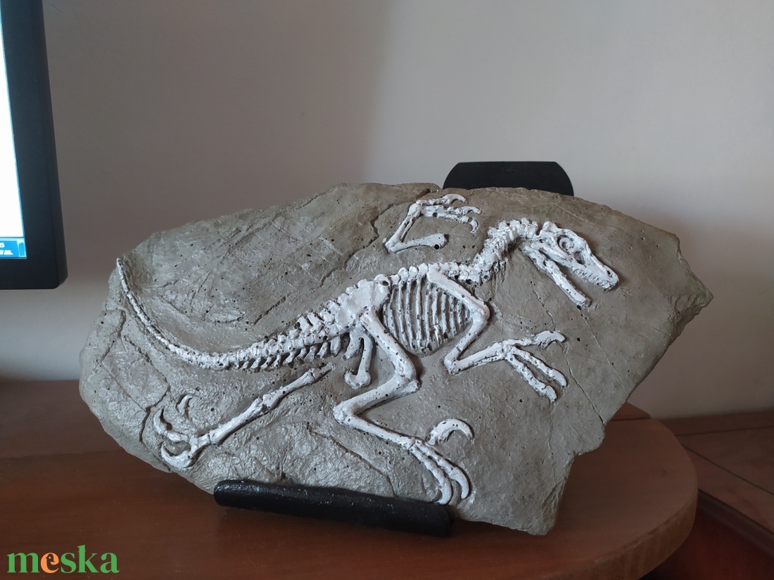 Dinoszaurusz Raptor fosszília - otthon & életmód - dekoráció - dísztárgy - Meska.hu Dinoszaurusz Raptor fosszília - otthon & életmód - dekoráció - dísztárgy - Meska.hu