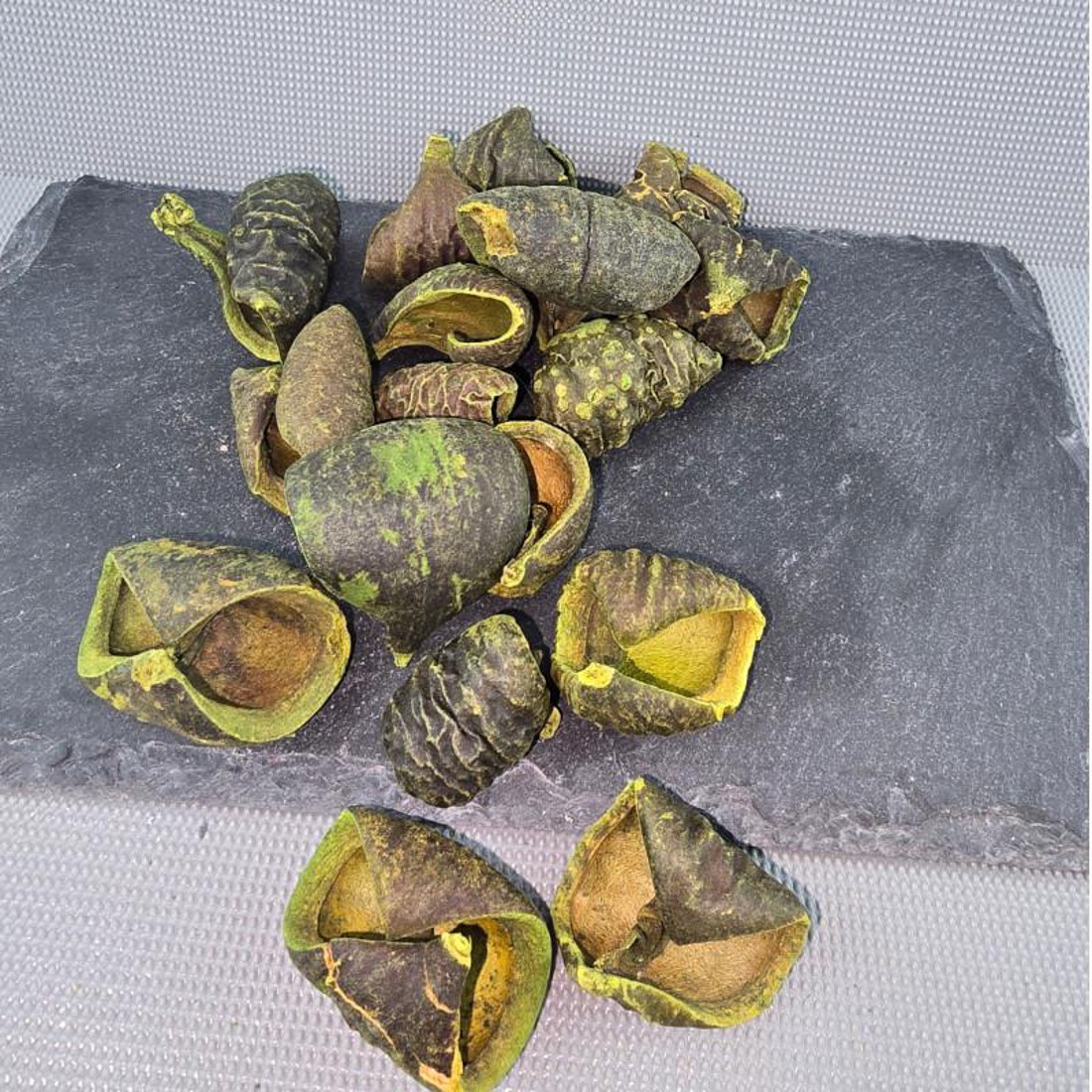 Lali - vil. zöld 5 dkg - kellékek & szerszámok - dekorációs kellékek - termések, terméscsomagok - Meska.hu