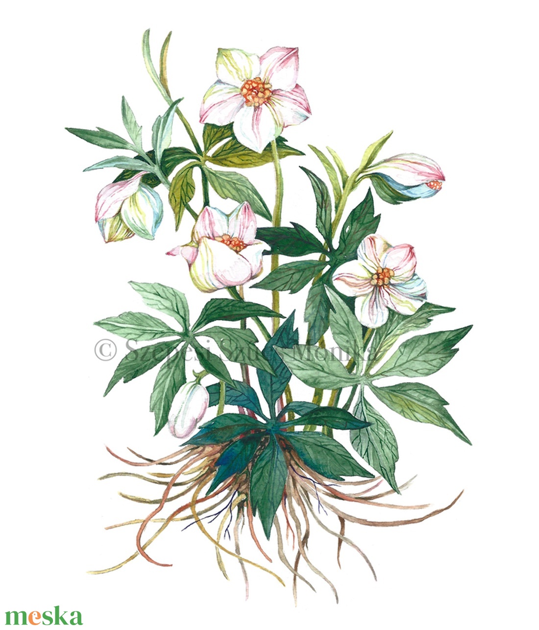 Hunyor - Print (Akvarell) - otthon & életmód - dekoráció - kép & falikép - kép & falikép - Meska.hu Hunyor - Print (Akvarell) - otthon & életmód - dekoráció - kép & falikép - kép & falikép - Meska.hu