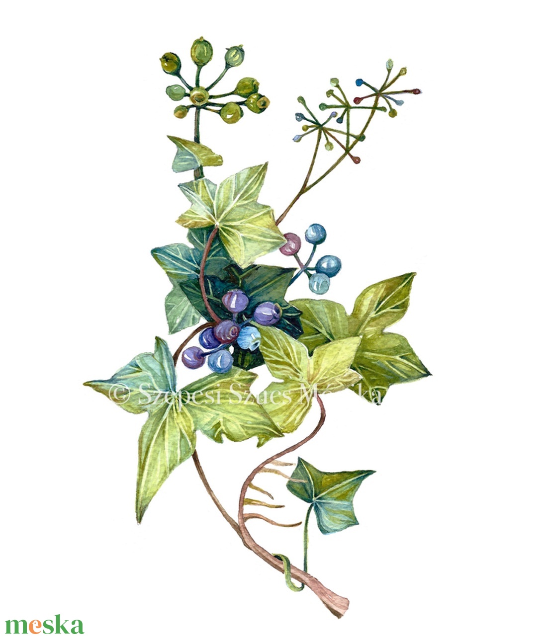 Borostyán - Print (Akvarell) - otthon & életmód - dekoráció - kép & falikép - kép & falikép - Meska.hu