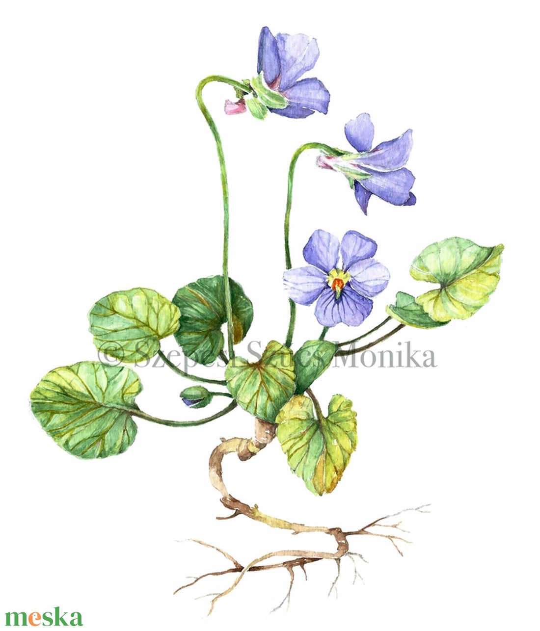 Ibolya - Print (Akvarell) - otthon & életmód - dekoráció - kép & falikép - kép & falikép - Meska.hu Ibolya - Print (Akvarell) - otthon & életmód - dekoráció - kép & falikép - kép & falikép - Meska.hu