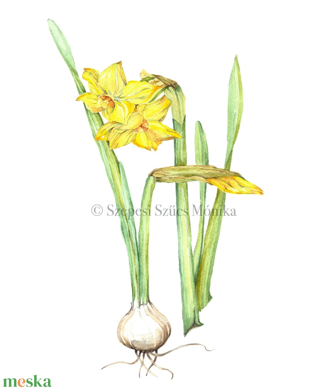 Nárcisz - Print (Akvarell) - otthon & életmód - dekoráció - kép & falikép - kép & falikép - Meska.hu Nárcisz - Print (Akvarell) - otthon & életmód - dekoráció - kép & falikép - kép & falikép - Meska.hu