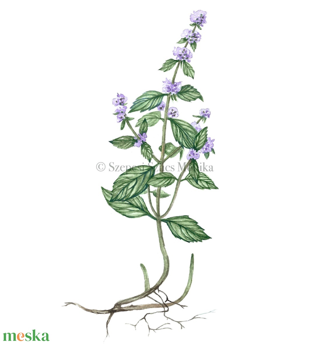 Borsmenta - Print (Akvarell) - otthon & életmód - dekoráció - kép & falikép - kép & falikép - Meska.hu