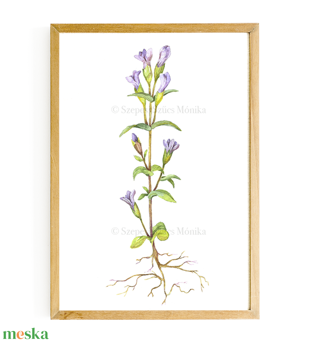 Mezei tárnicska - Print (Akvarell) - otthon & életmód - dekoráció - kép & falikép - kép & falikép - Meska.hu Mezei tárnicska - Print (Akvarell) - otthon & életmód - dekoráció - kép & falikép - kép & falikép - Meska.hu