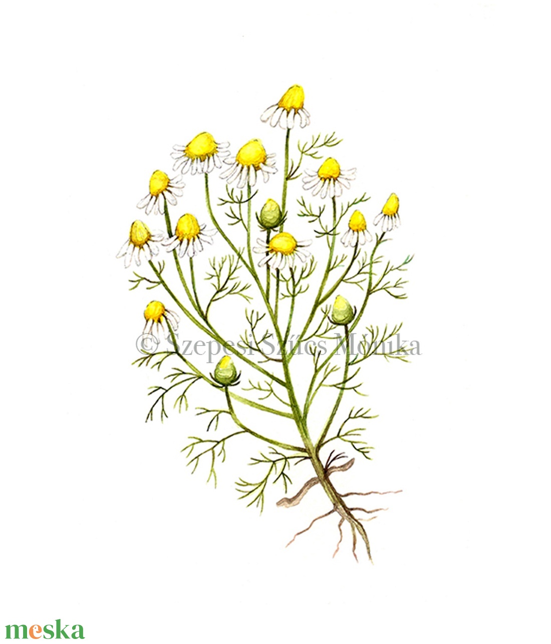 Kamilla - Print (Akvarell) - otthon & életmód - dekoráció - kép & falikép - kép & falikép - Meska.hu