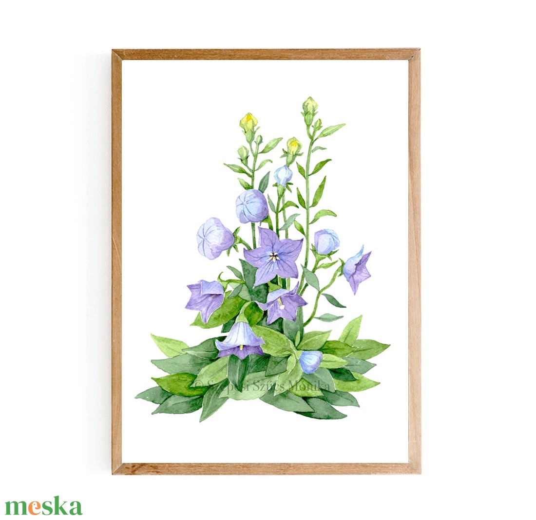 Léggömbvirág - Print (Akvarell) - otthon & életmód - dekoráció - kép & falikép - kép & falikép - Meska.hu Léggömbvirág - Print (Akvarell) - otthon & életmód - dekoráció - kép & falikép - kép & falikép - Meska.hu