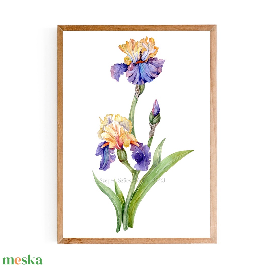 Írisz - Print (Akvarell) - otthon & életmód - dekoráció - kép & falikép - kép & falikép - Meska.hu Írisz - Print (Akvarell) - otthon & életmód - dekoráció - kép & falikép - kép & falikép - Meska.hu