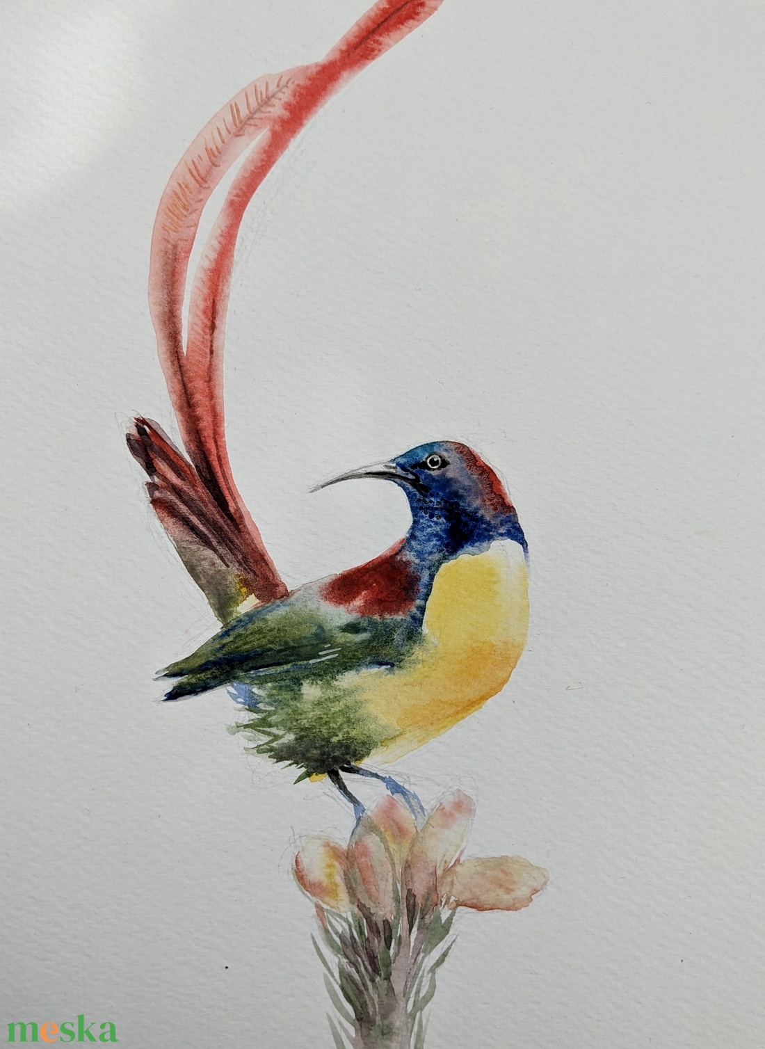 Trópusi madár 2/ akvarell print, limitált, sorszámozott - művészet - festmény - akvarell - Meska.hu
