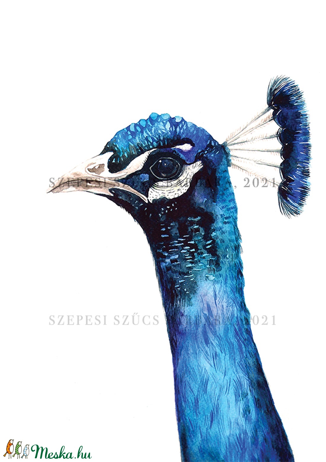 Páva - Print (Akvarell) - otthon & életmód - dekoráció - kép & falikép - kép & falikép - Meska.hu