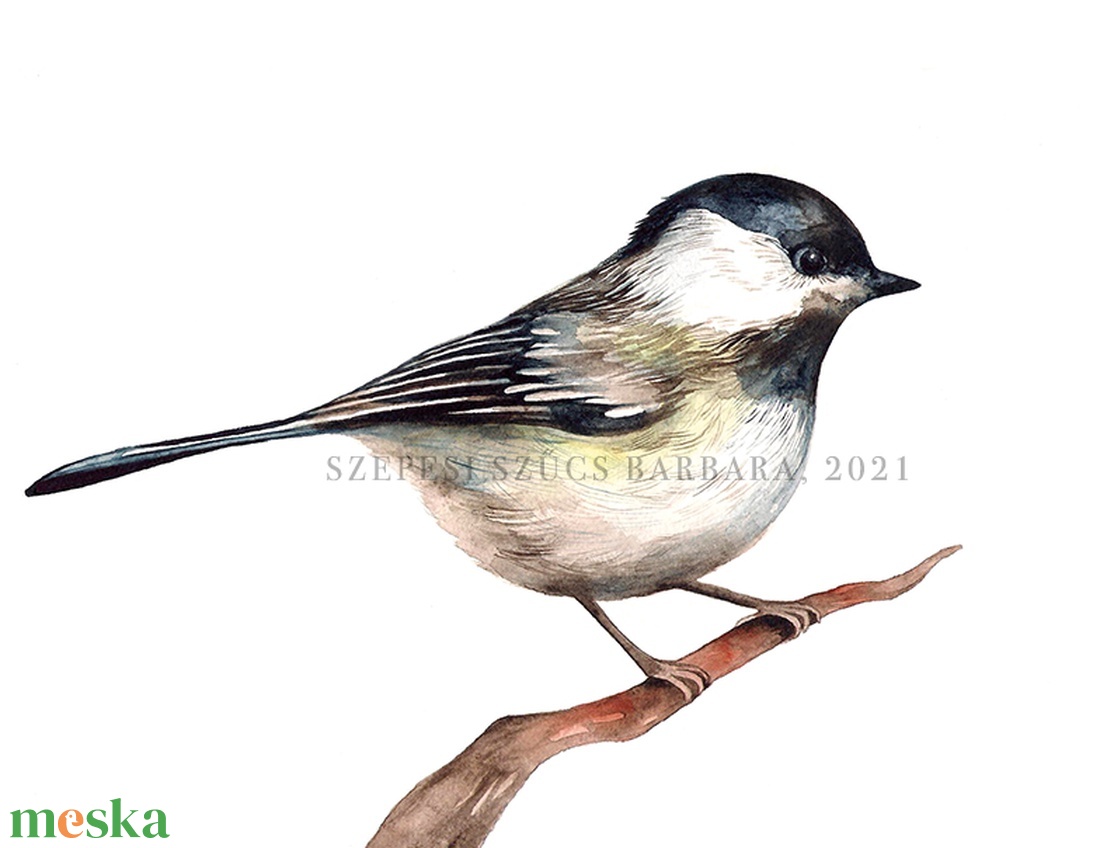 Cinege - Print (Akvarell) - otthon & életmód - babaszoba, gyerekszoba - babaszoba dekoráció - Meska.hu