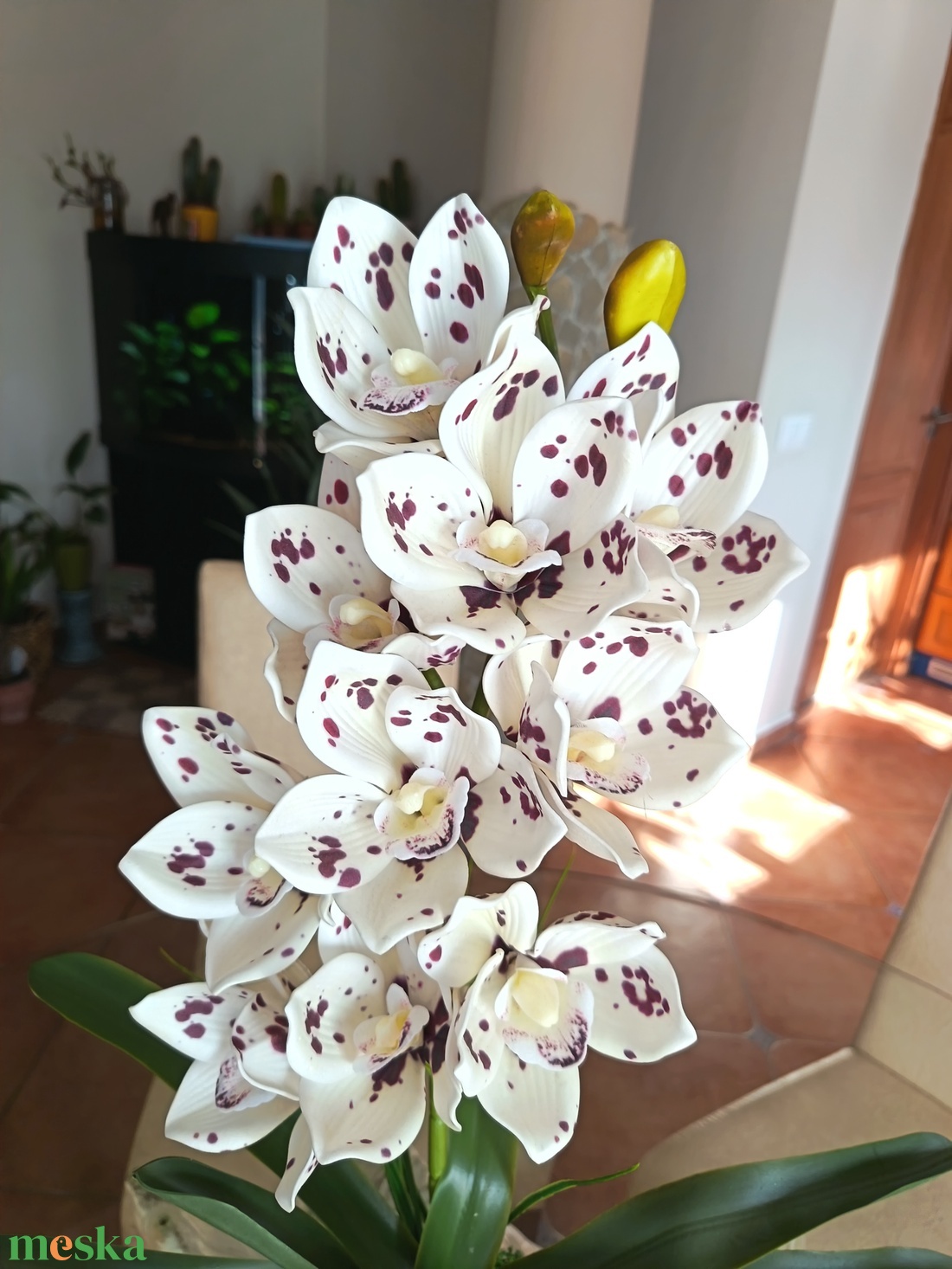 Élethű, különleges csónakorchidea  - otthon & életmód - dekoráció - asztal és polc dekoráció - asztaldísz - Meska.hu