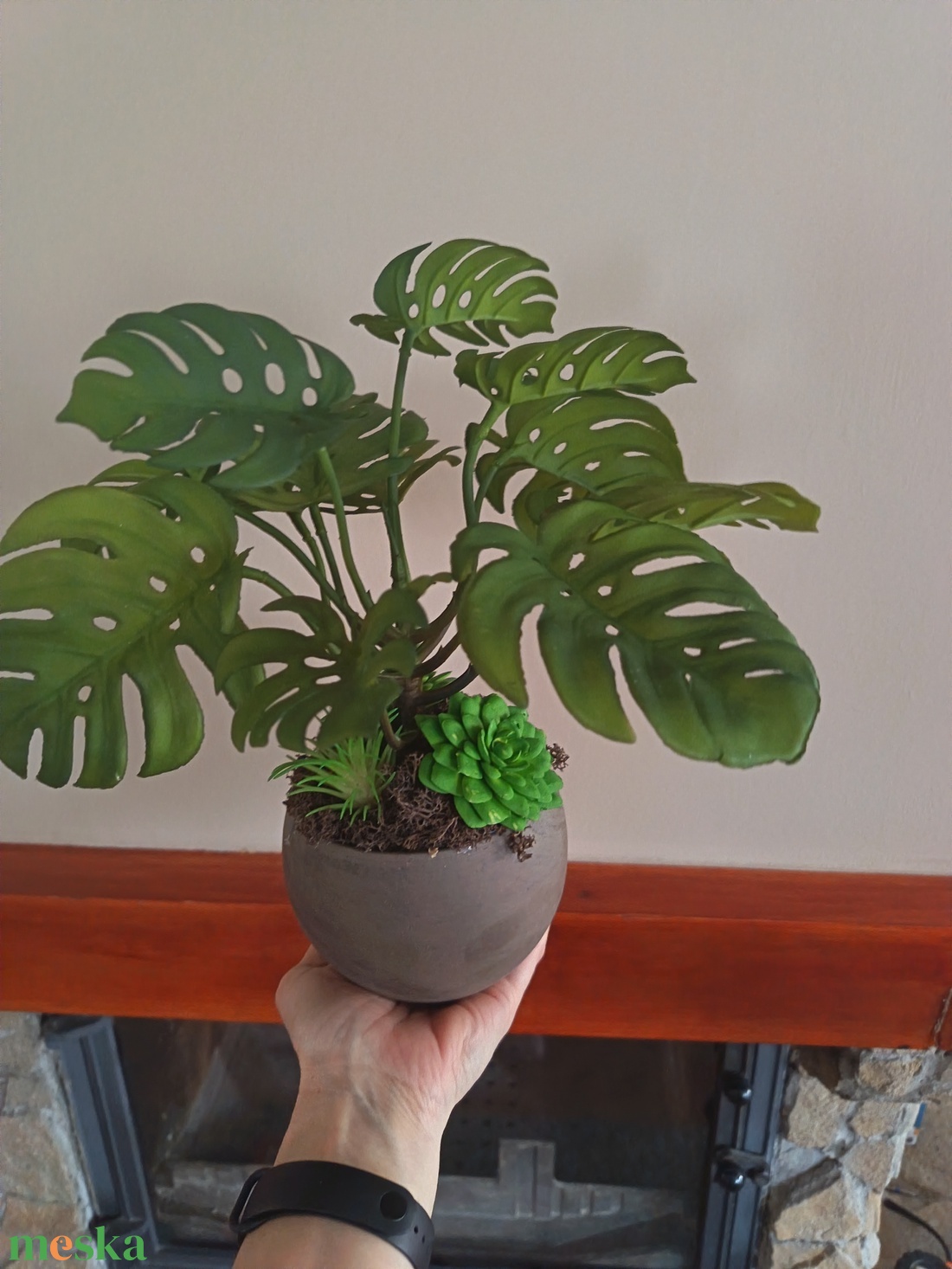 Élethű mini könnyezőpálma pozsgásokkal  - otthon & életmód - dekoráció - asztal és polc dekoráció - asztaldísz - Meska.hu