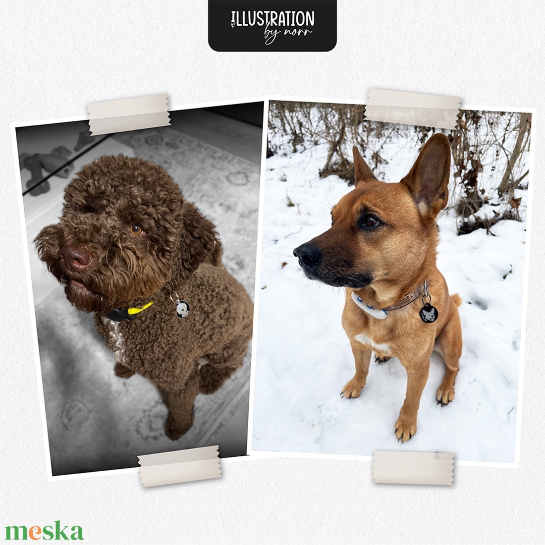 Gazdi csomag � biléta + autómatrica szett - otthon & életmód - kisállatoknak - kutyáknak - kutya biléta - Meska.hu