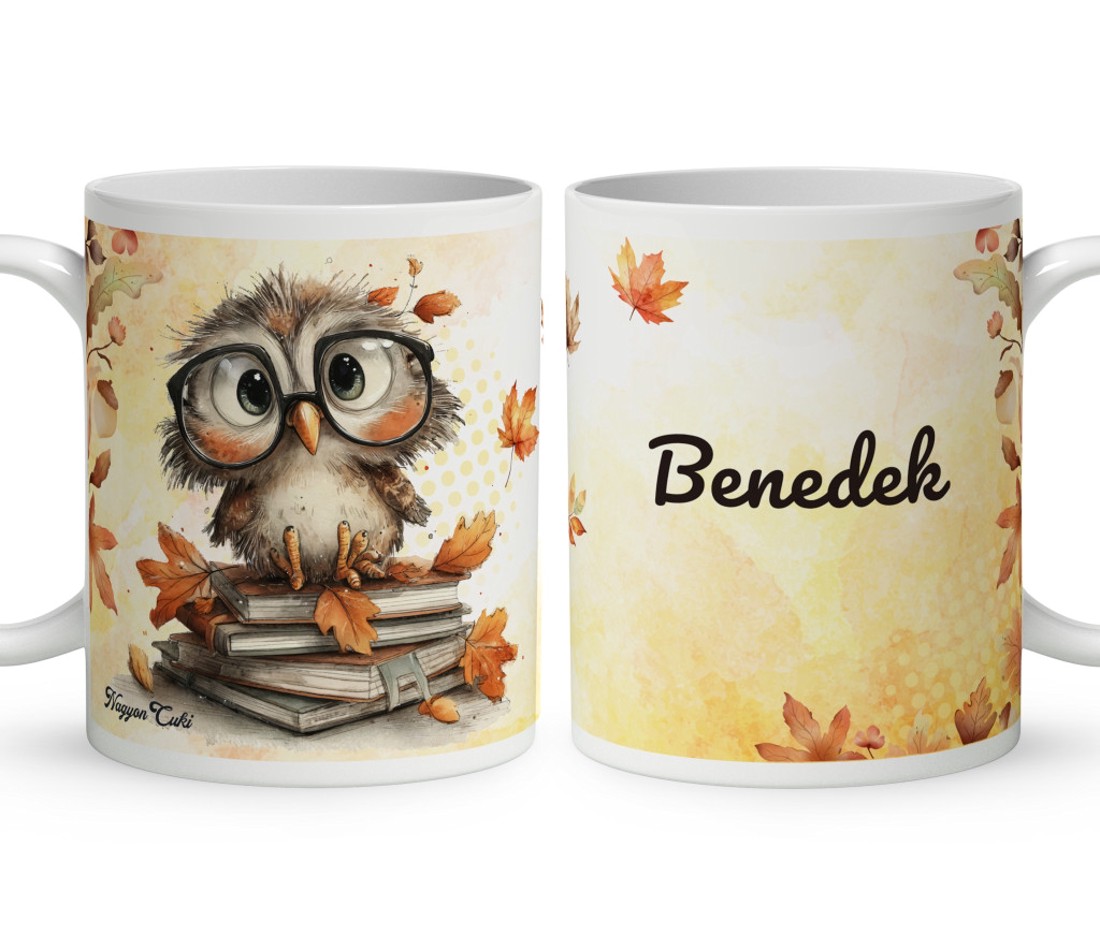 Névvel kérhető - Cuki őszi szemüveges bagoly mintás bögre - otthon & életmód - konyhafelszerelés, tálalás - tálalás - bögre & csésze - Meska.hu