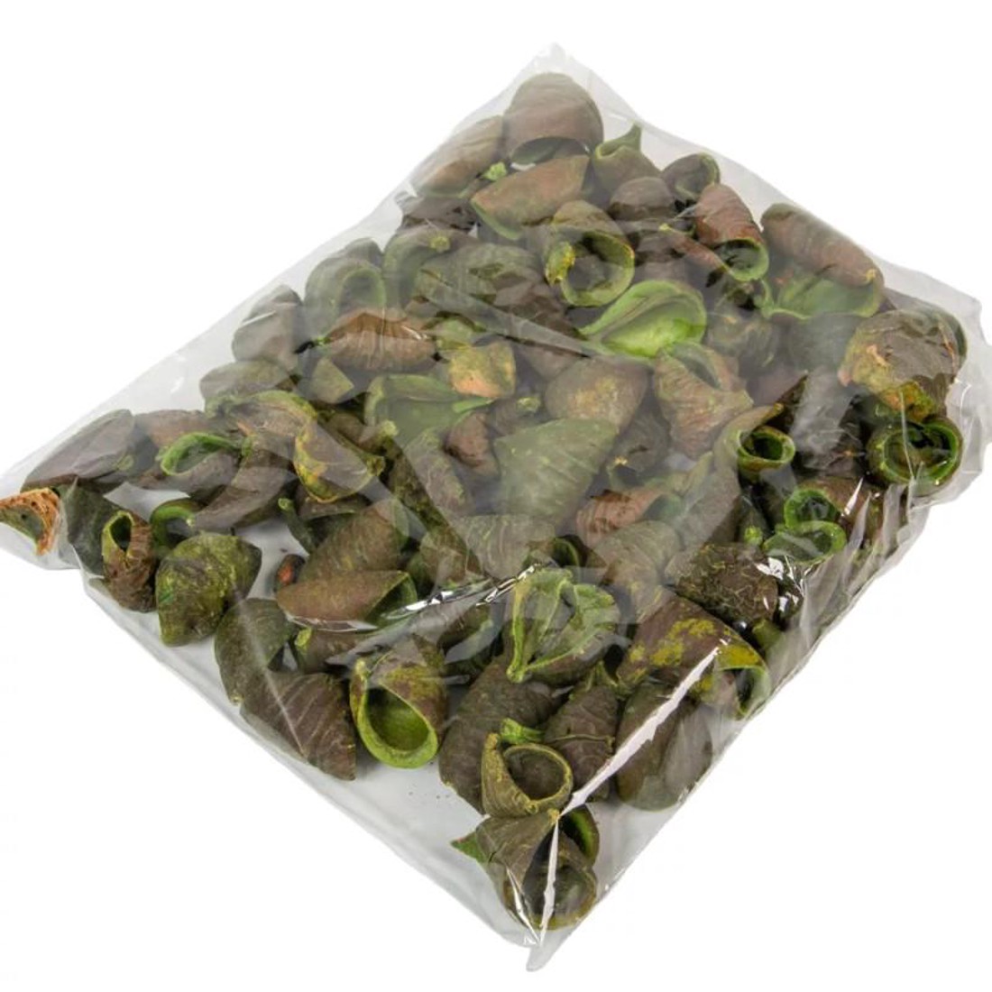 Lali 22 dkg-os - világos zöld - kellékek & szerszámok - dekorációs kellékek - termések, terméscsomagok - Meska.hu