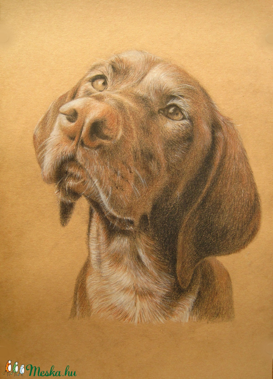 Rendelhető kutya portré - digitális fénykép alapján készült A4 méretű, ceruzával készült grafika -  - Meska.hu