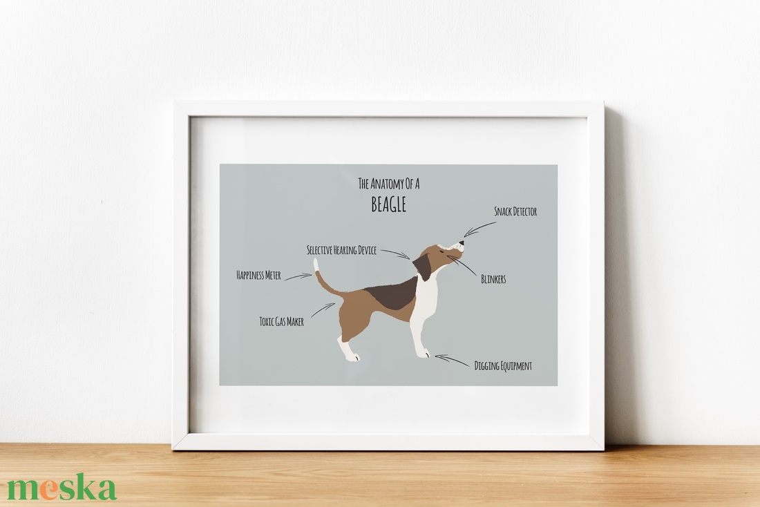 Beagle anatómiája poszter, vicces kutyás falikép, dekoráció - otthon & életmód - dekoráció - kép & falikép - poszter - Meska.hu
