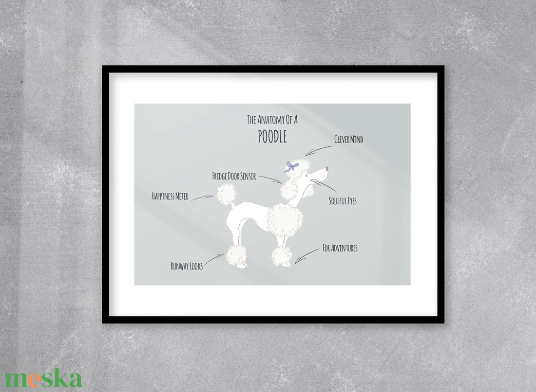 Poodle anatómiája poszter, vicces kutyás falikép, dekoráció - otthon & életmód - dekoráció - kép & falikép - poszter - Meska.hu Poodle anatómiája poszter, vicces kutyás falikép, dekoráció - otthon & életmód - dekoráció - kép & falikép - poszter - Meska.hu
