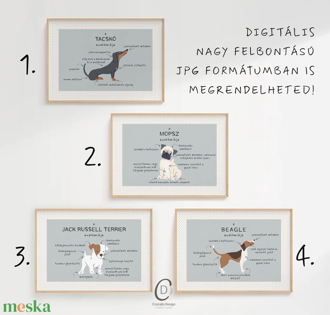 Kutya anatómia poszter, vicces kutyás falikép, dekoráció - otthon & életmód - dekoráció - kép & falikép - poszter - Meska.hu