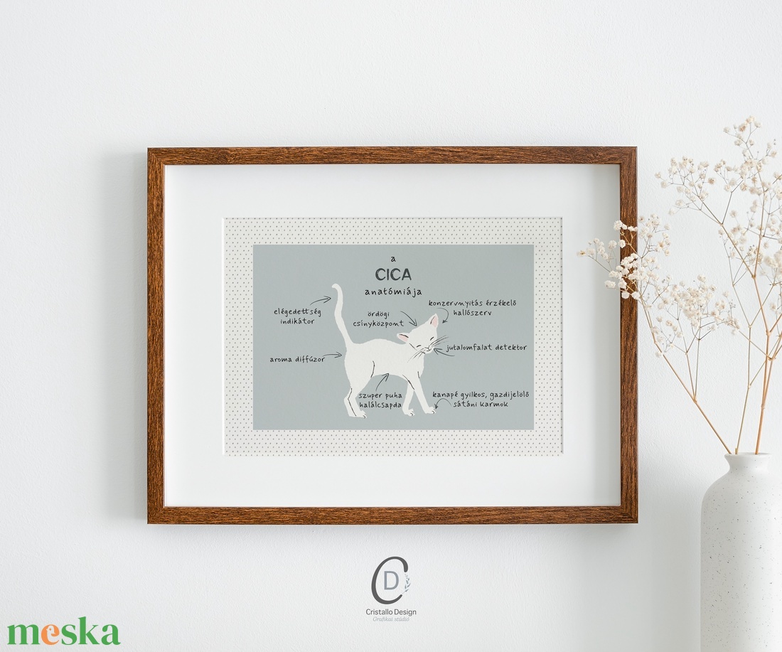 A macska anatómiája poszter, vicces cicás falikép, dekoráció - otthon & életmód - kisállatoknak - cicáknak & macskáknak - Meska.hu