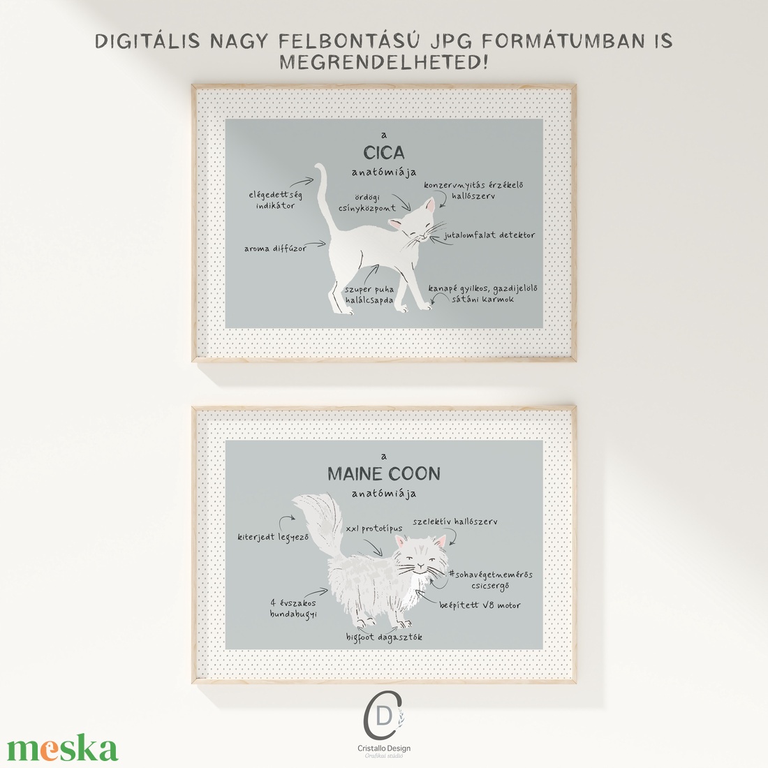 A macska anatómiája poszter, vicces cicás falikép, dekoráció - otthon & életmód - kisállatoknak - cicáknak & macskáknak - Meska.hu