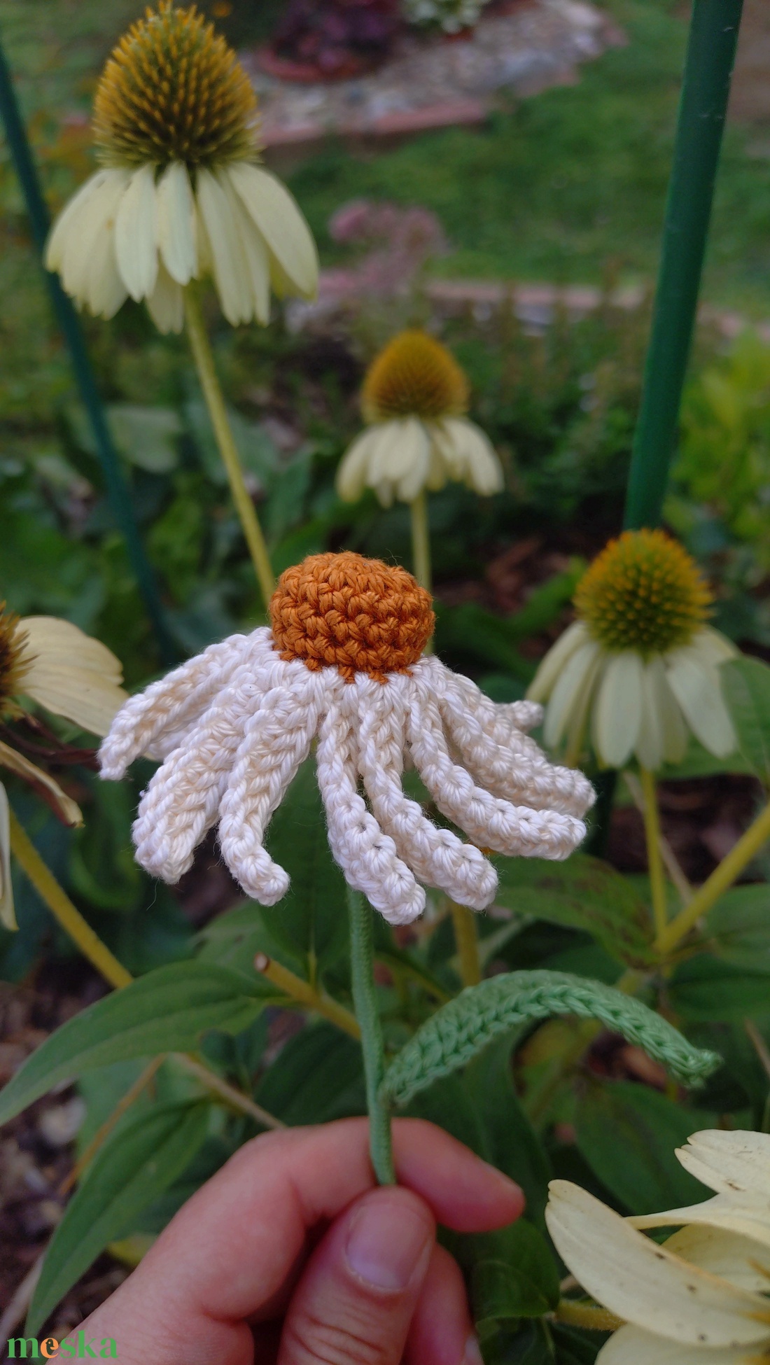Horgolt echinacea - otthon & életmód - dekoráció - virágdísz és tartó - csokor & virágdísz - Meska.hu Horgolt echinacea - otthon & életmód - dekoráció - virágdísz és tartó - csokor & virágdísz - Meska.hu