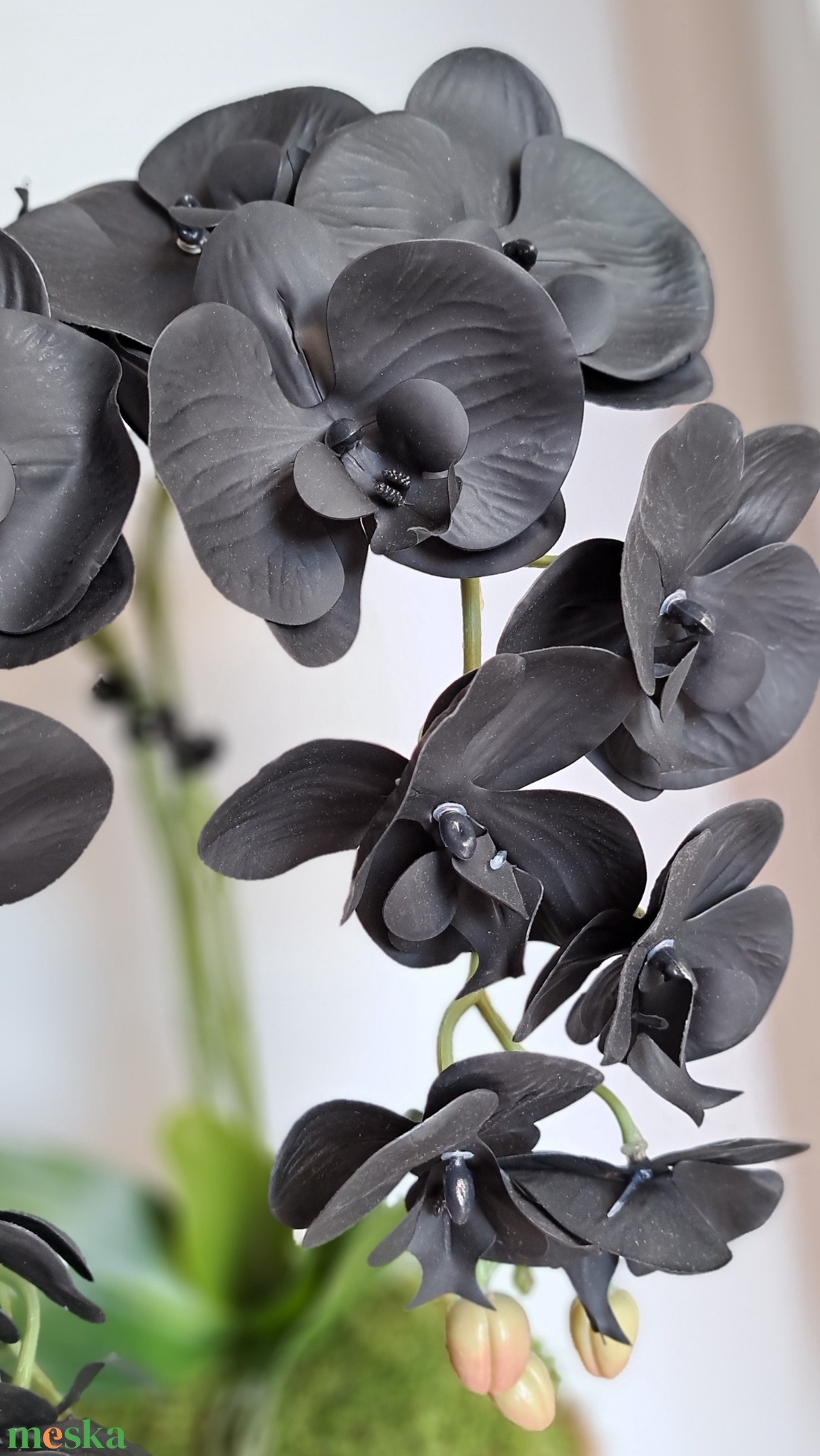 Élethű fekete orchidea asztaldísz rosegold kaspóban - otthon & életmód - dekoráció - asztal és polc dekoráció - asztaldísz - Meska.hu Élethű fekete orchidea asztaldísz rosegold kaspóban - otthon & életmód - dekoráció - asztal és polc dekoráció - asztaldísz - Meska.hu