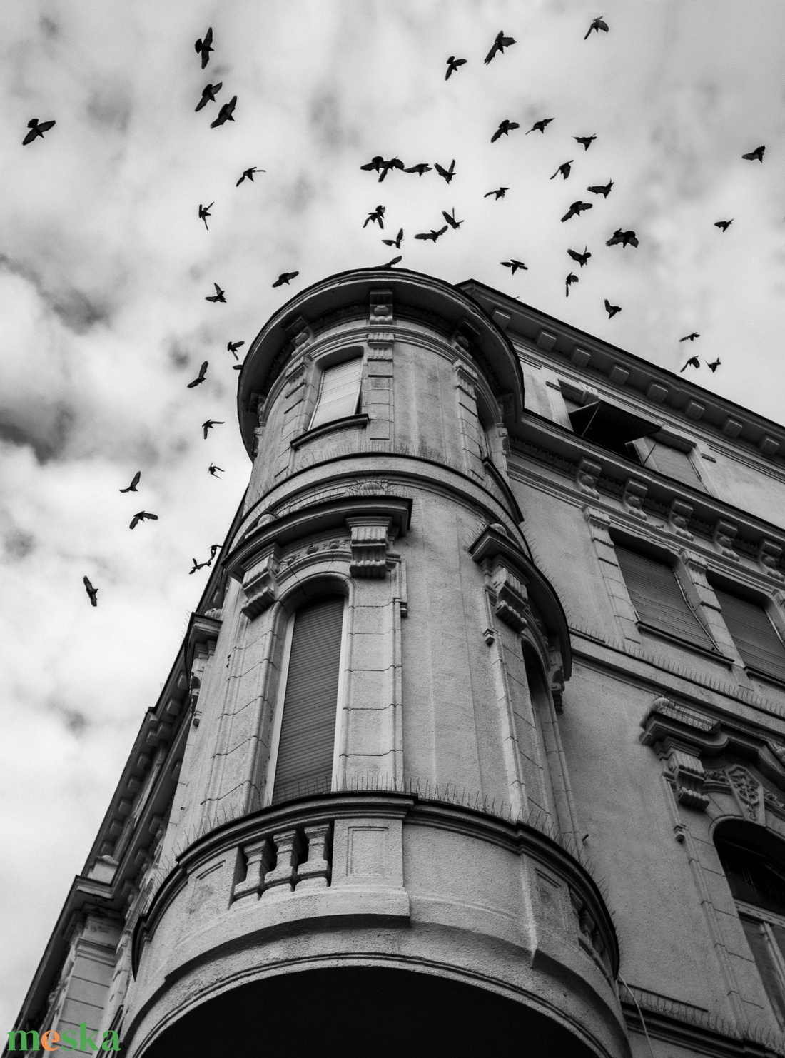 MADARAK fotóposzter A3 méretben - művészet - fotográfia - más fotó - Meska.hu MADARAK fotóposzter A3 méretben - művészet - fotográfia - más fotó - Meska.hu
