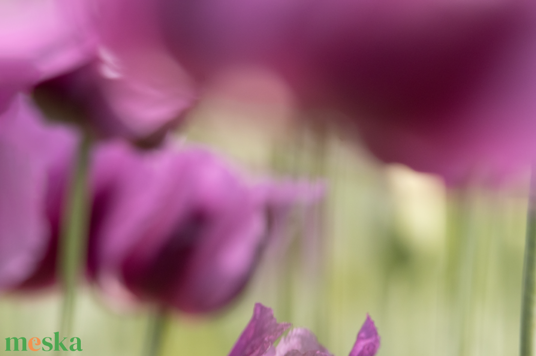 Tulipános festményszerű fotóposzter A3 - otthon & életmód - dekoráció - kép & falikép - poszter - Meska.hu Tulipános festményszerű fotóposzter A3 - otthon & életmód - dekoráció - kép & falikép - poszter - Meska.hu