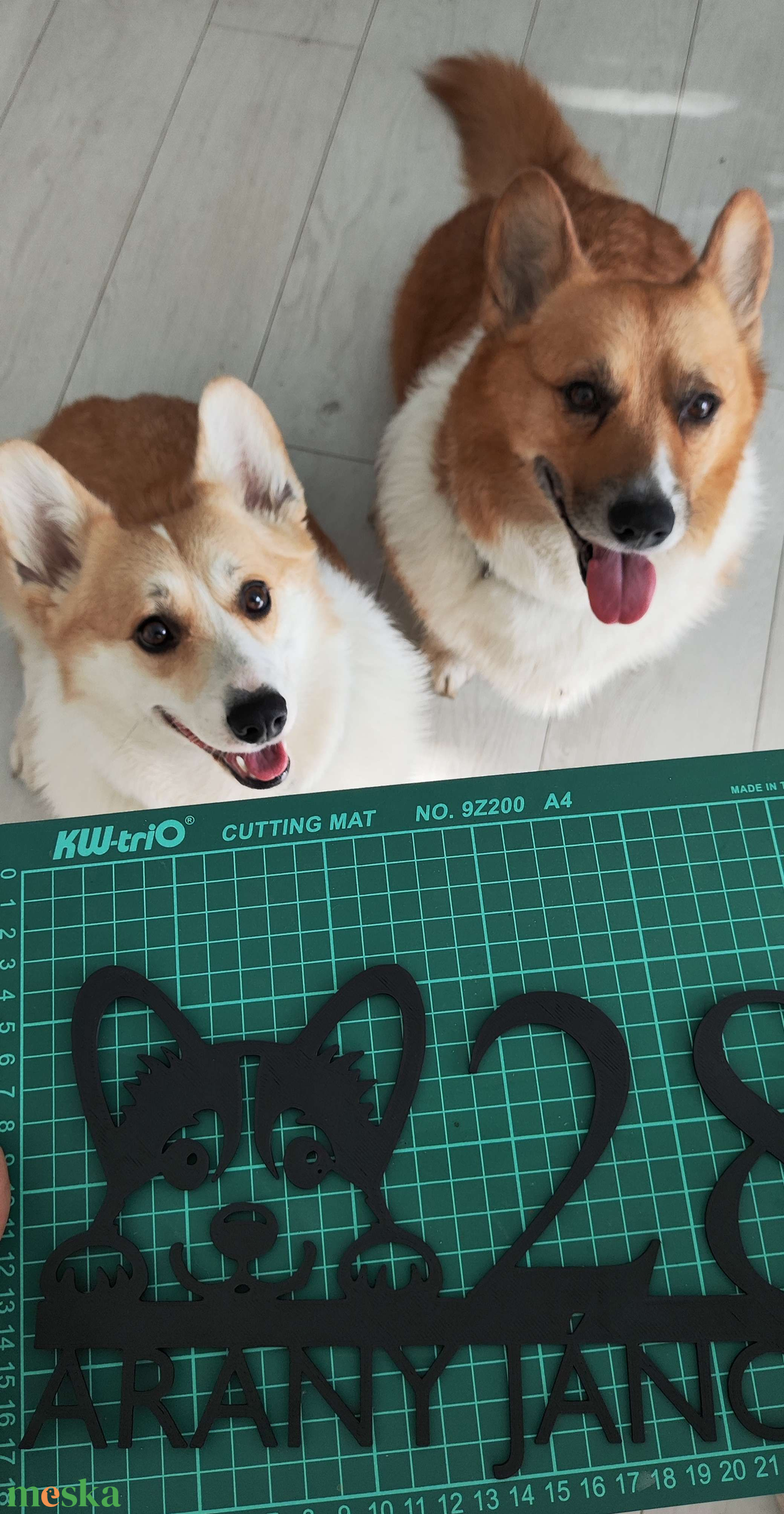 Egyedi corgis házszámtábla - kutyás és cicás házszám, kültéri UV-álló, kedvező áron - otthon & életmód - ház & kert - házszám - Meska.hu