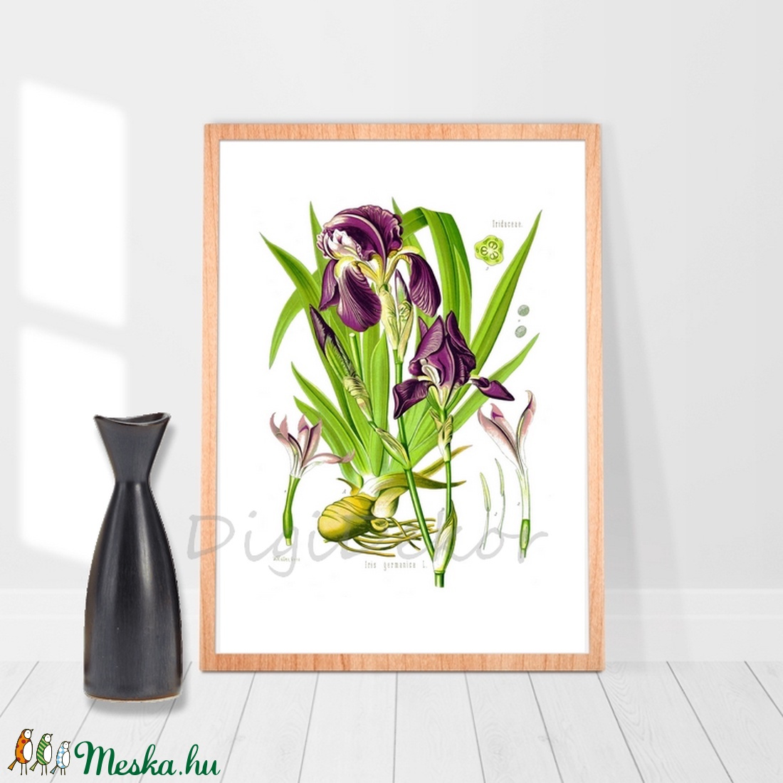 Nőszirom, írisz, vintage illusztráció, növényes falikép, virágos lakásdekoráció, lila virág, A4-es print, kert - - Meska.hu Nőszirom, írisz, vintage illusztráció, növényes falikép, virágos lakásdekoráció, lila virág, A4-es print, kert - - Meska.hu